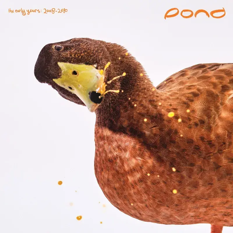 Pond - The Early Years (2008 - 2010)