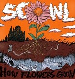 Scowl - How Flowers Grow