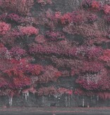 Sleep Token - Even In Arcadia (CD)