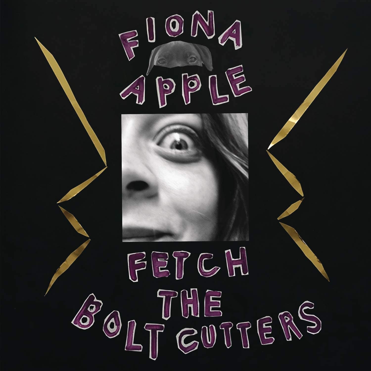 Fiona Apple ‎– Fetch The Bolt Cutters (CD)