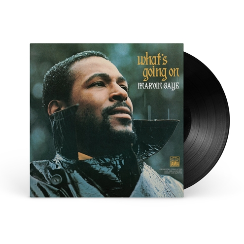 Marvin Gaye - What's Going On