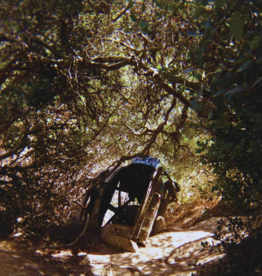 Ty Segall - Possession