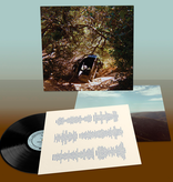 Ty Segall - Possession