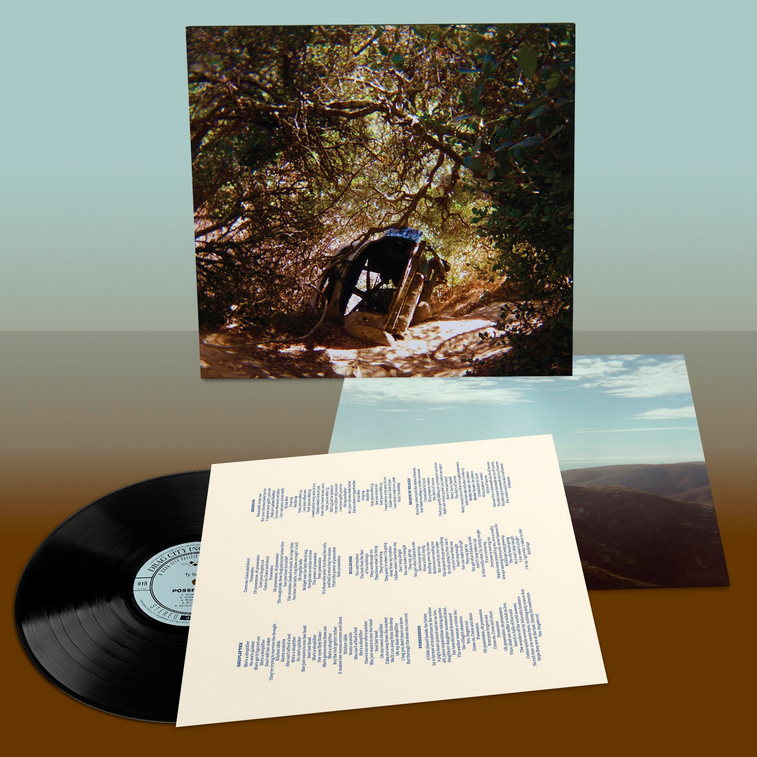 Ty Segall - Possession