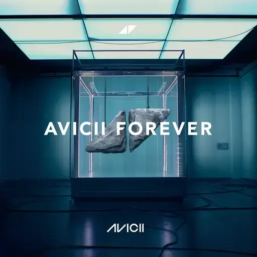 Avicii - Forever (CD)