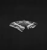 Kendrick Lamar - To Pimp A Butterfly (10th Anniversary Edition)