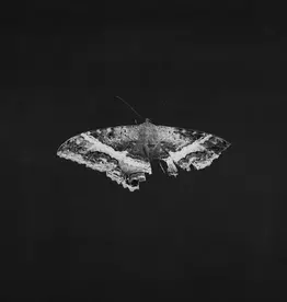 Kendrick Lamar - To Pimp A Butterfly (10th Anniversary Edition)