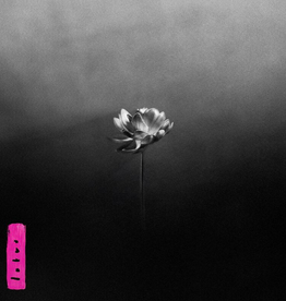 Little Simz - Lotus (CD)