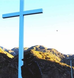 JPEGMAFIA - I Lay Down My Life For You (Director's Cut)