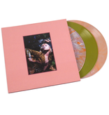 Hayley Williams – Flowers For Vases & Petals For Armor