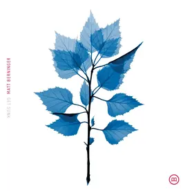 Matt Berninger - Get Sunk