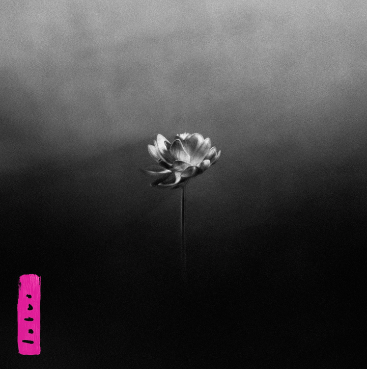 Little Simz - Lotus