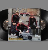 Beastie Boys - Solid Gold Hits