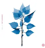 Matt Berninger - Get Sunk (CD)