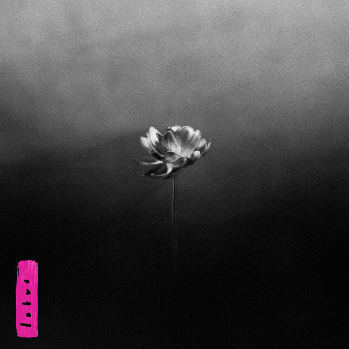 Little Simz - Lotus (Electric Pink Vinyl)