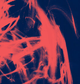 Rival Consoles – Landscape From Memory (Transparent Vinyl)