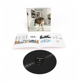 Grinderman ‎– Grinderman 2