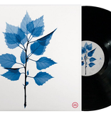 Matt Berninger - Get Sunk