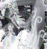 Björk - Vespertine (Cassette)