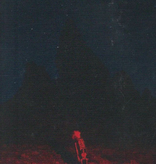 Phoebe Bridgers – Punisher (Cassette)