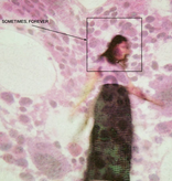 Soccer Mommy - Sometimes, Forever (Cassette)