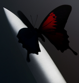 Post Malone – Twelve Carat Toothache (Cassette)