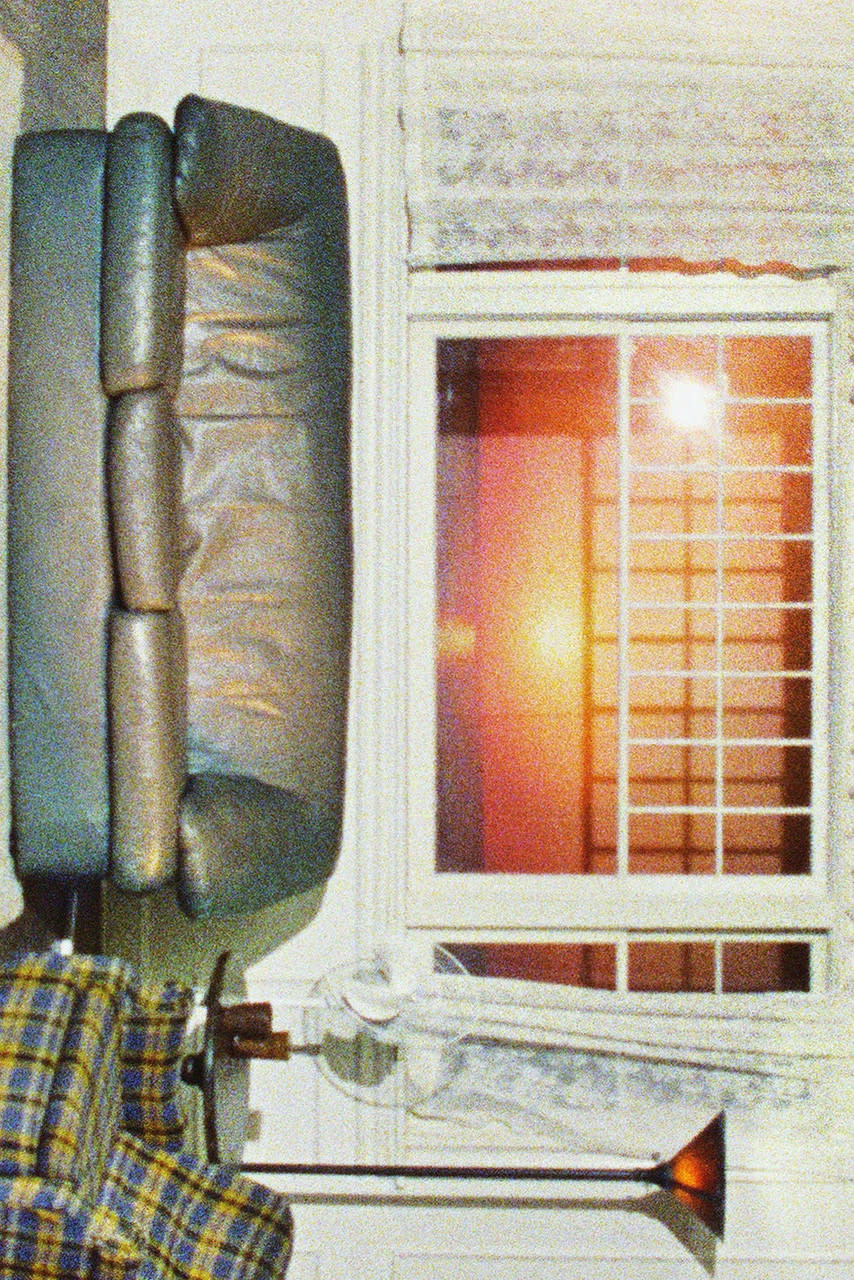 Wallows - Model (Cassette)