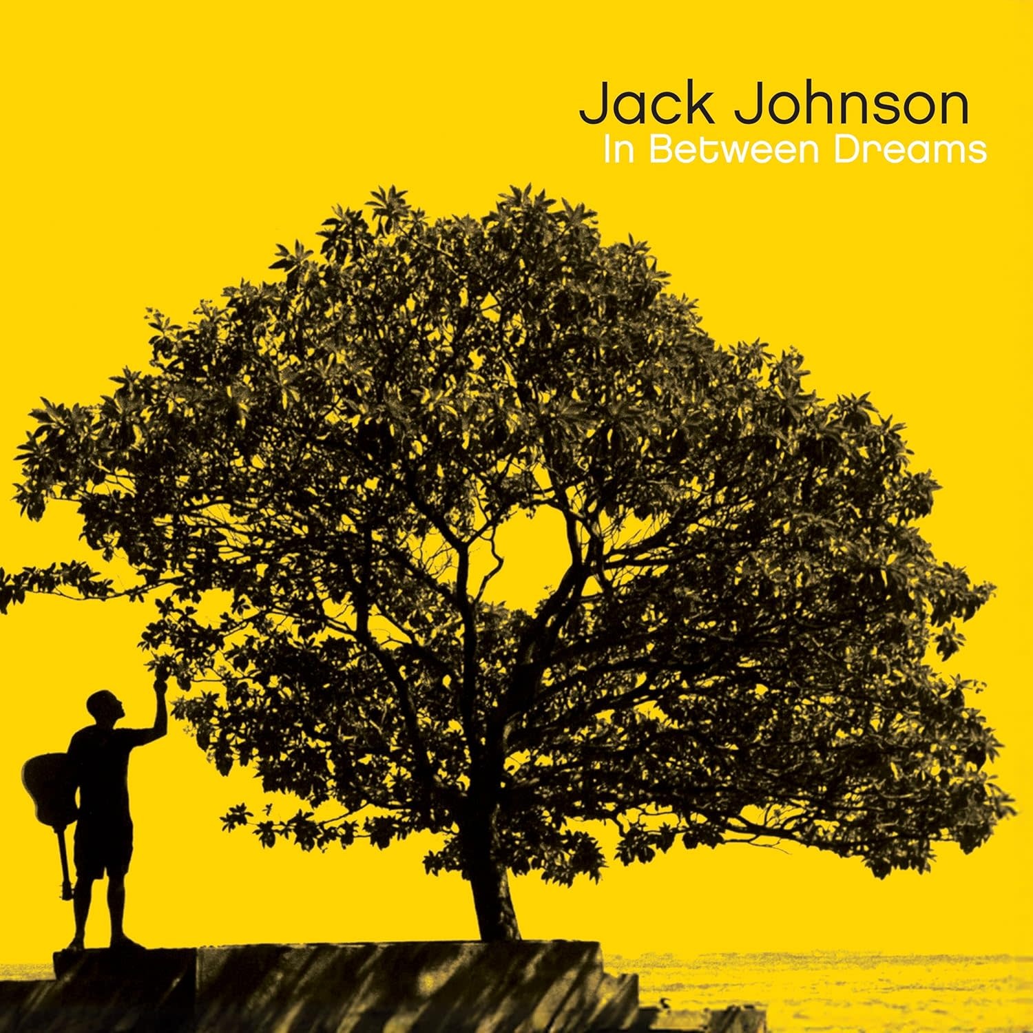 Jack Johnson - In Between Dreams (20th Anniversary Edition)