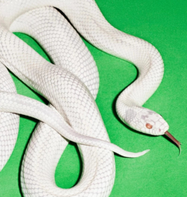 Deftones - Private Music (Clear Vinyl)