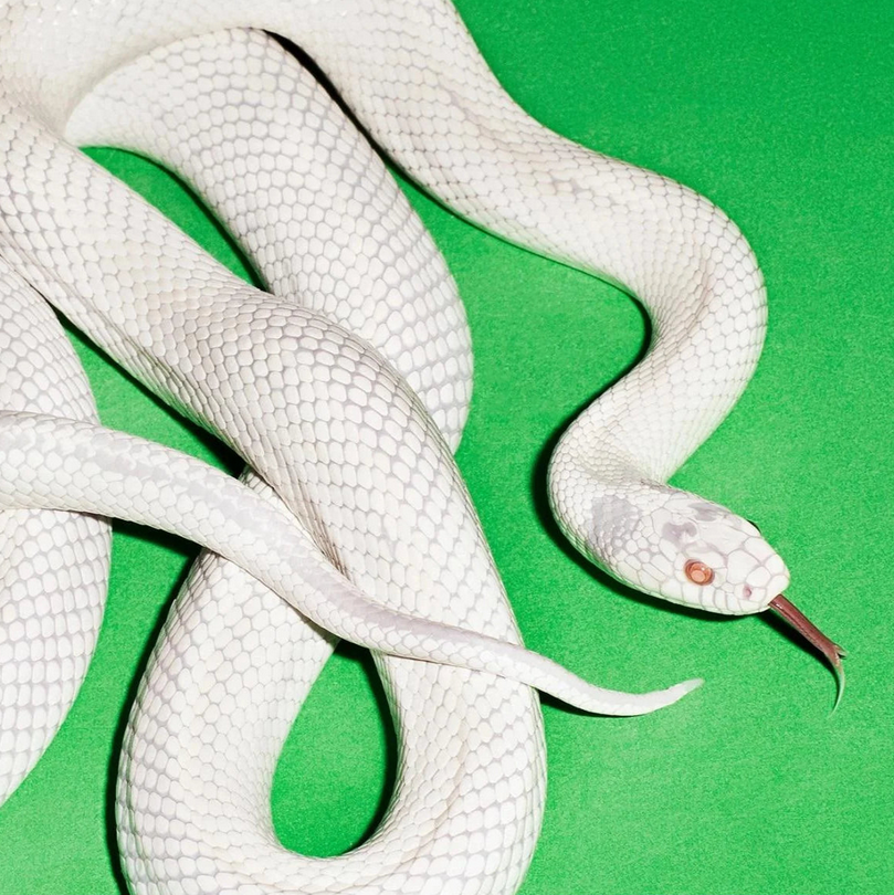 Deftones - Private Music (Clear)