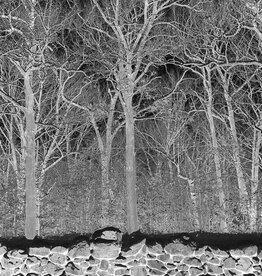 Pile – Sunshine And Balance Beams (Transparent Purple)