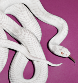 Deftones - Private Music (Alternate Cover) (CD)