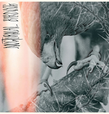 Author & Punisher - Nocturnal Birding