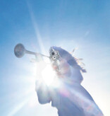 Geese - Getting Killed (CD)