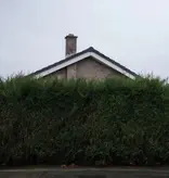 1975 - Still... At Their Very Best Live (White)