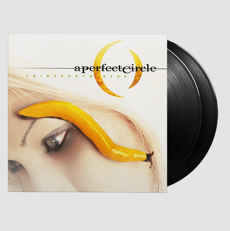 A Perfect Circle - Thirteenth Step