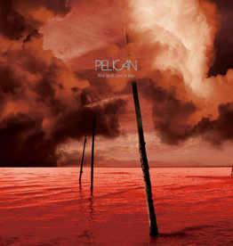 Pelican - What We All Come To Need (Grey)