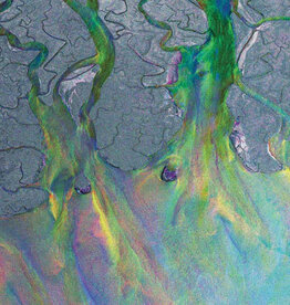 Alt-J - An Awesome Wave (Recycled Metallic)