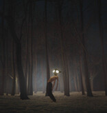 Geese – Projector (CD)