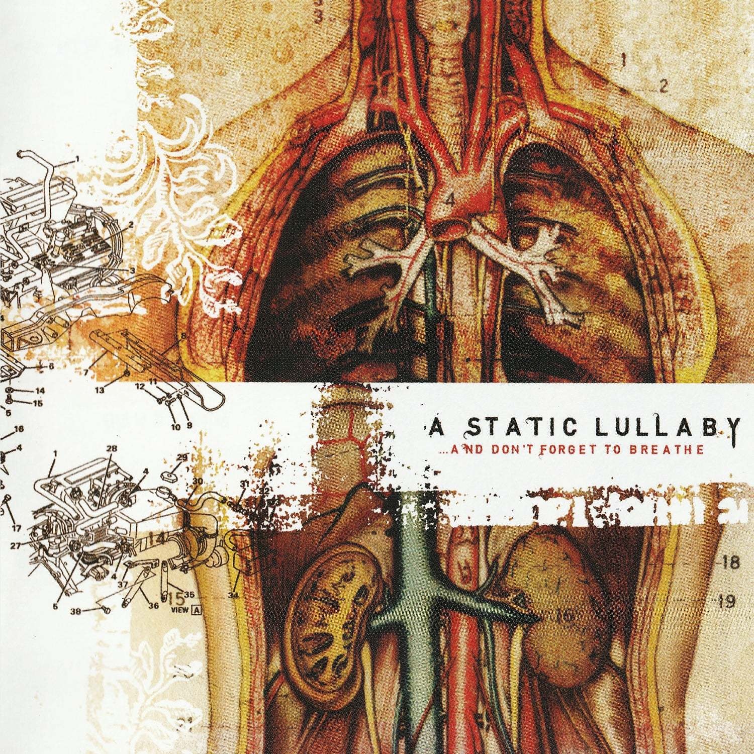 Static Lullaby - And Don't Forget to Breathe (Copper & Black Marble)