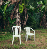 Bad Bunny - Debí Tirar Más Fotos (White)