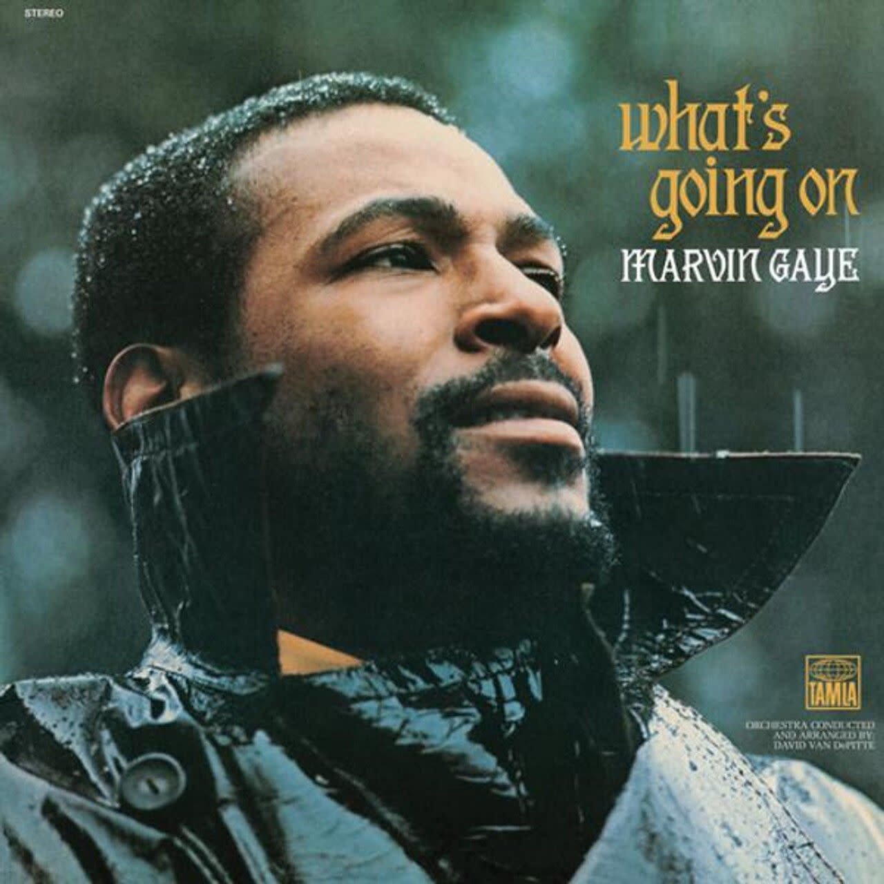 Marvin Gaye - What's Going On (Green)