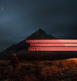 Dominic Fike - What Could Possibly Go Wrong