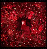 Iron & Wine - Hen's Teeth (Clear)