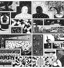 Will Sessions - Electromagnetic Reality