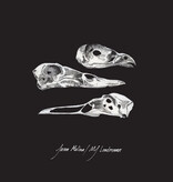 Jason Molina & MJ Lenderman - The Last Three Human Words (Demo) / Just Be Simple