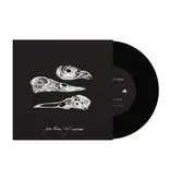 Jason Molina & MJ Lenderman - The Last Three Human Words (Demo) / Just Be Simple