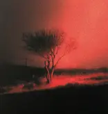 Joji - Piss In The Wind (CD)