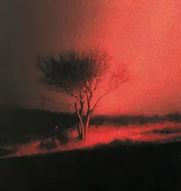 Joji - Piss In The Wind (CD)