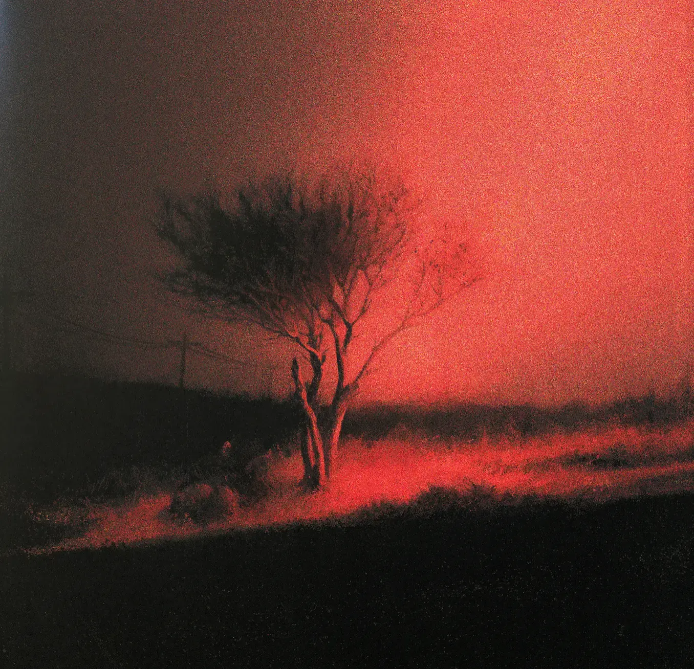 Joji - Piss In The Wind (CD)